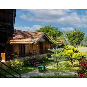 https://resort-mystery-maze-and-spa.kerala-hotels.net